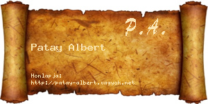 Patay Albert névjegykártya